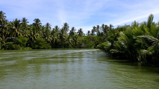 Loboc River, Bohol, Philippines