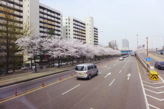 Seoul City Sightseeing Tour Bus Panorama Course, Seoul, South Korea